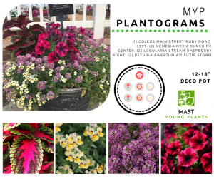 MYP Plantograms - Mast Young Plants