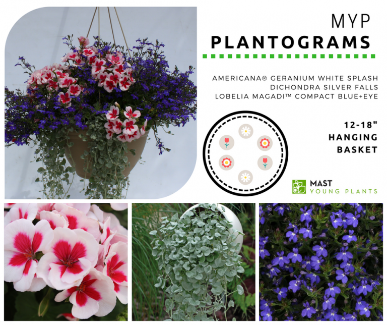 MYP Plantograms - Mast Young Plants