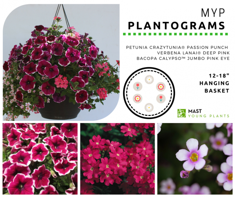 Myp Plantograms - Mast Young Plants