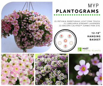 MYP Plantograms - Mast Young Plants